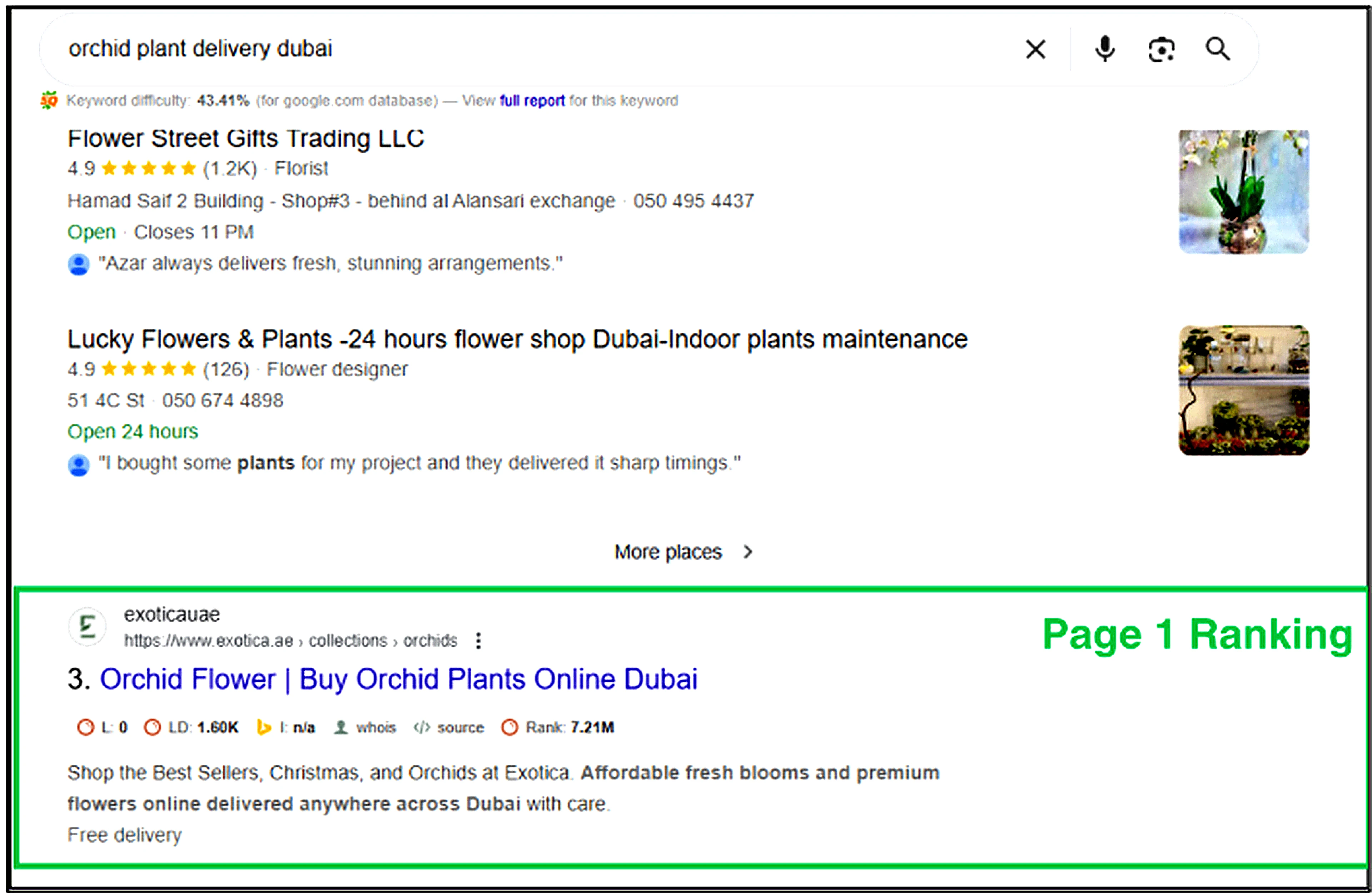 Exotica UAE page 1 Google ranking for “orchid plant delivery dubai.”